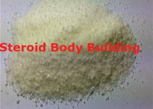 Methenolone-Enanthate Powder